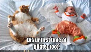 funny-pictures-cat-asks-if-it-is-your-first-time-at-pilates